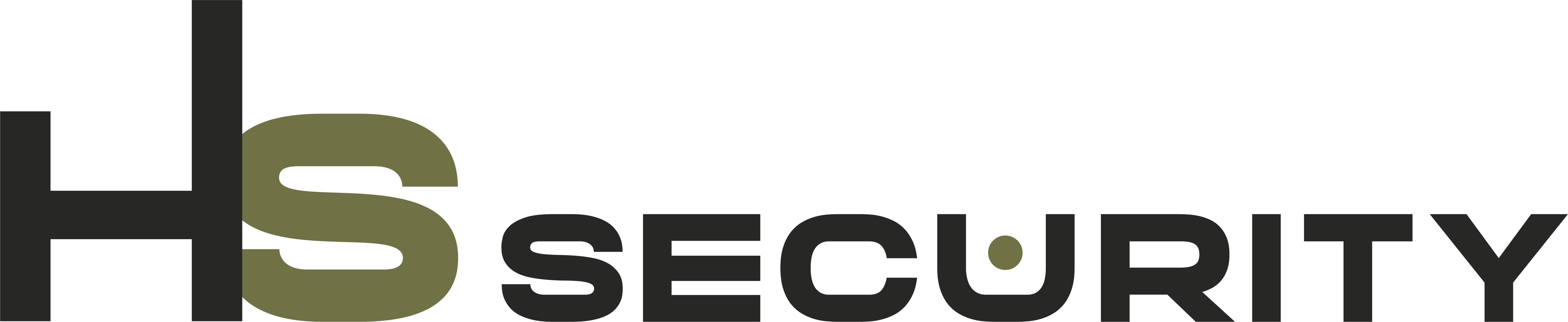 Logo 3 HS_Security_lungo e trasparente